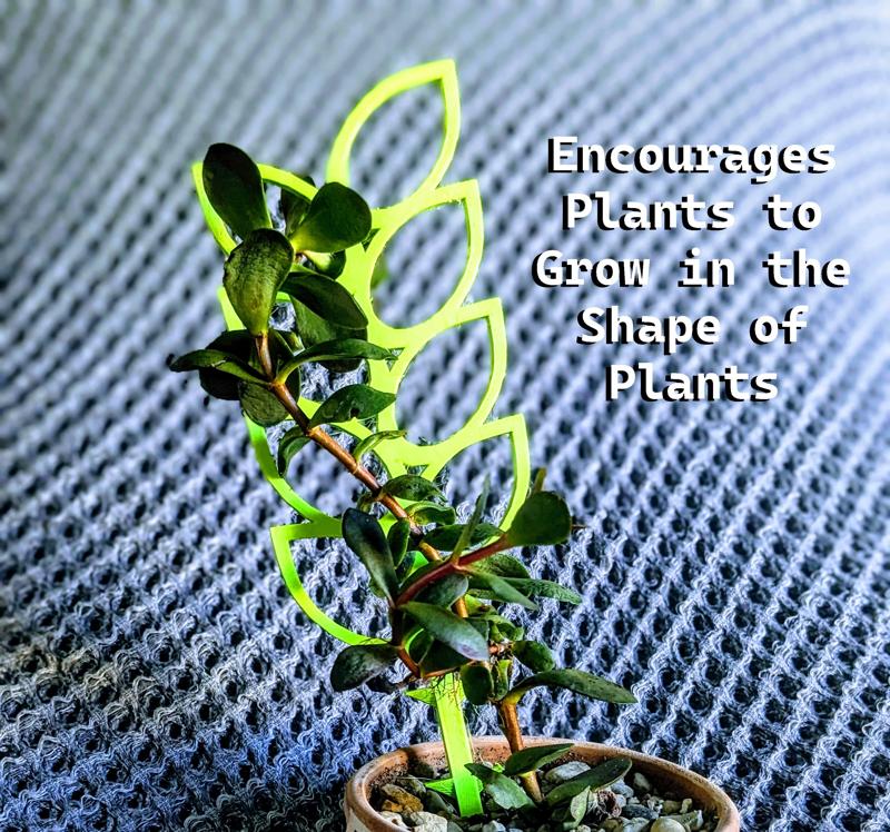 Plant Support - Leaf Stack