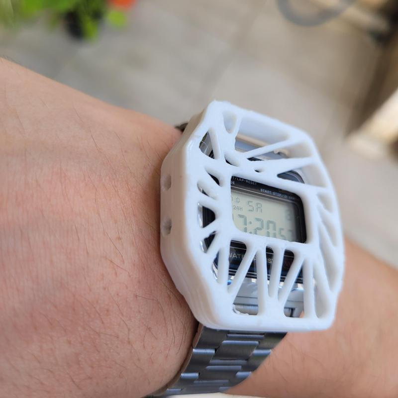 casio protect