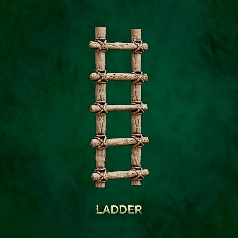 Ladder