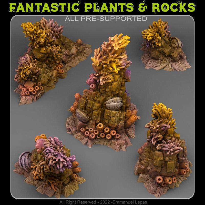 MYSTICAL CORAL ROCKS