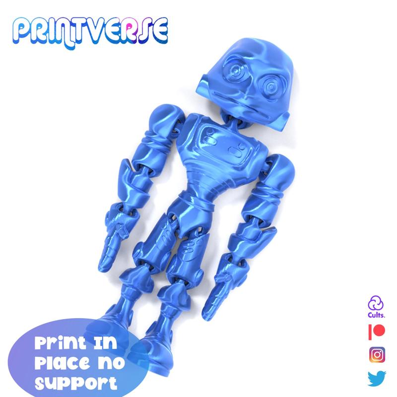 Flexy Print In Place Robo