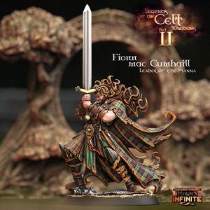 Fionn Mac Cumhaill, Leader of the Fianna