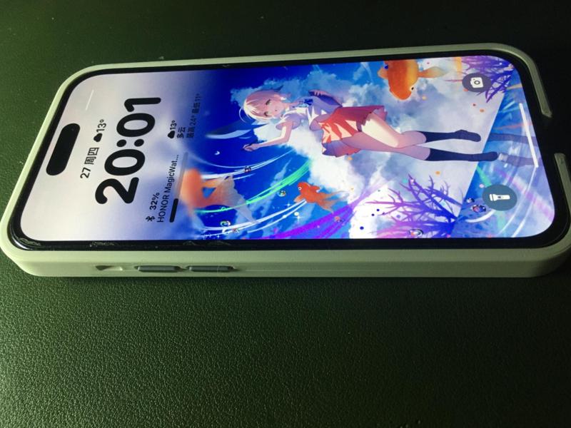 iPhone 14 Pro phone case