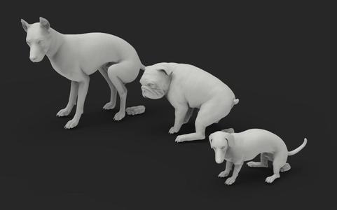 Dogs pooping