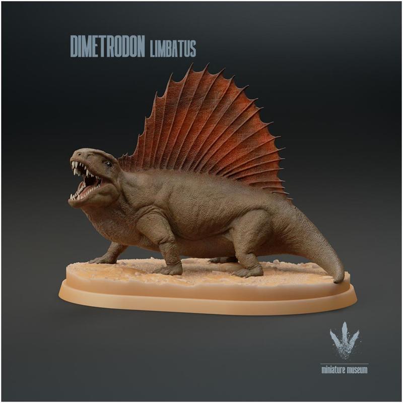 Dimetrodon limbatus : Vocalizing