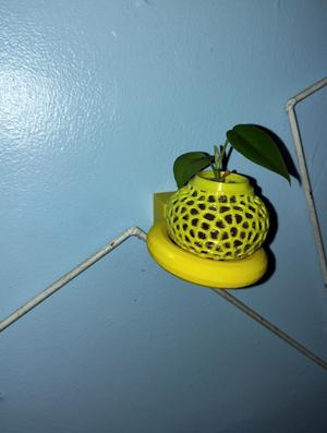 HANGING FLOWER POT