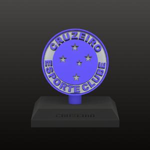 Cruzeiro Esporte Clube