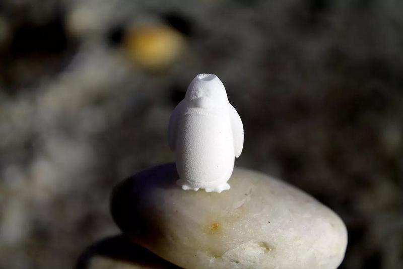 Penguy penguin on rock