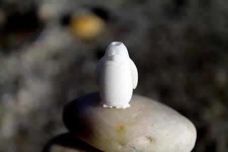 Penguy penguin on rock