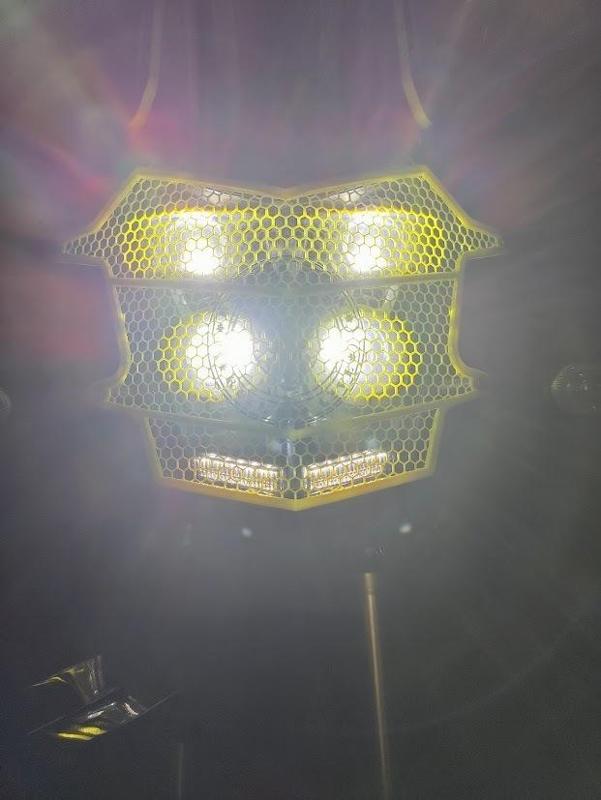 HEADLIGHT PROTECTOR TENERE 700