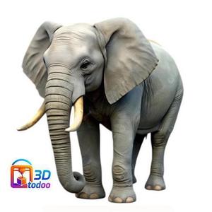 African Elephant African Elephant