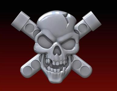 Skull Biohazard Relief