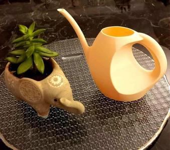 Watering Can