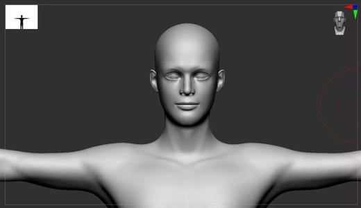 Stylized  male basemesh model