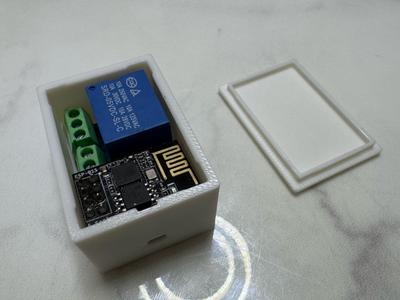 ESP01 Single Channel Relay Case
