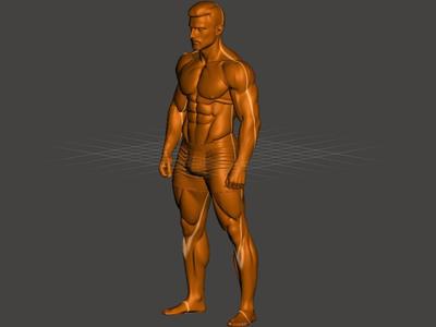 The Ultimate Male 