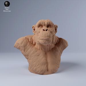 Chimp Male Bust