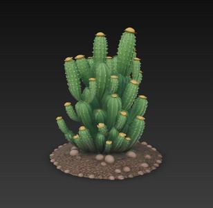 cactus