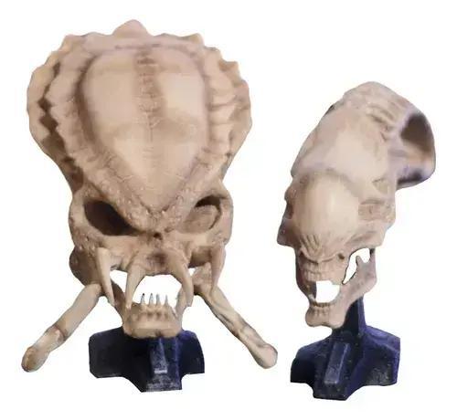 Twin Alien Skulls on Exhibition