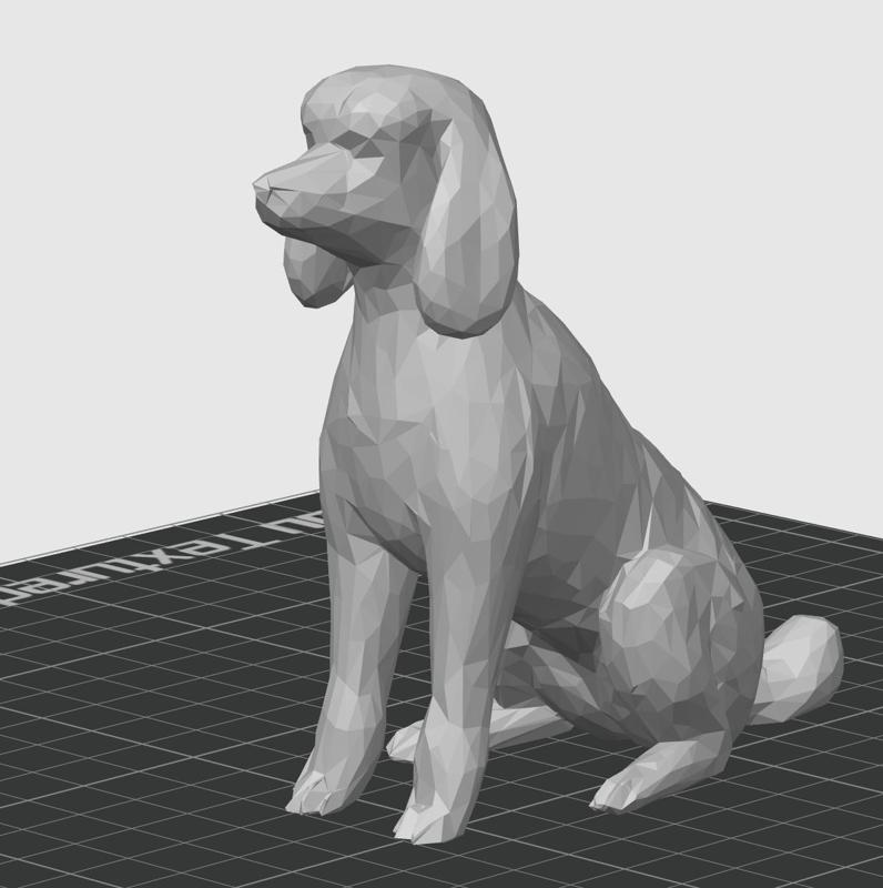Low Poly Poodle