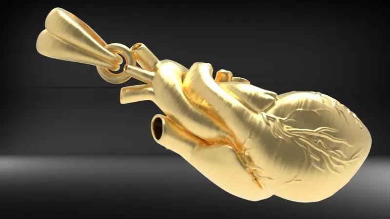 Anatomical Heart Pendant Necklace Jewelry