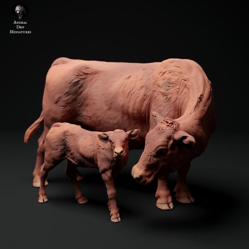 Red Devon Cow with Calf