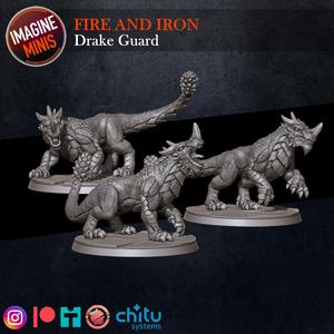 Fire and Iron - Drake Guard (3 Drakes)