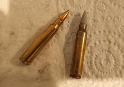 223 / 556 Projectile Insert
