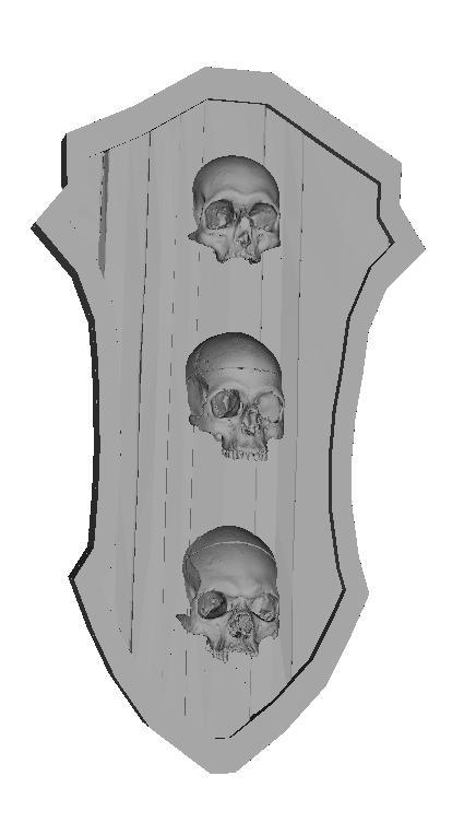skeleton tower shield
