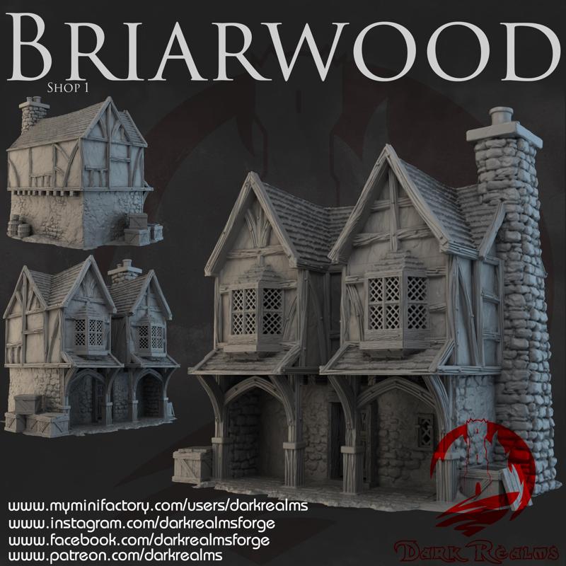 Dark Realms - Briarwood - Shop 1