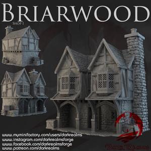 Dark Realms - Briarwood - Shop 1
