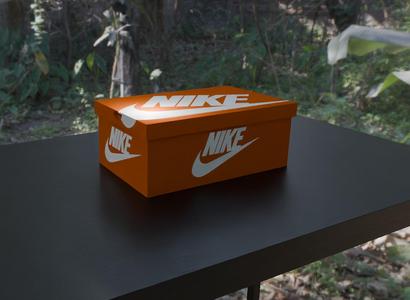 nike shoe box storage