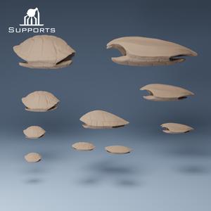 Turtle shell group 1