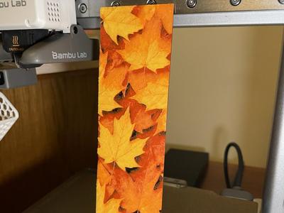 Maple in the Fall Bookmark