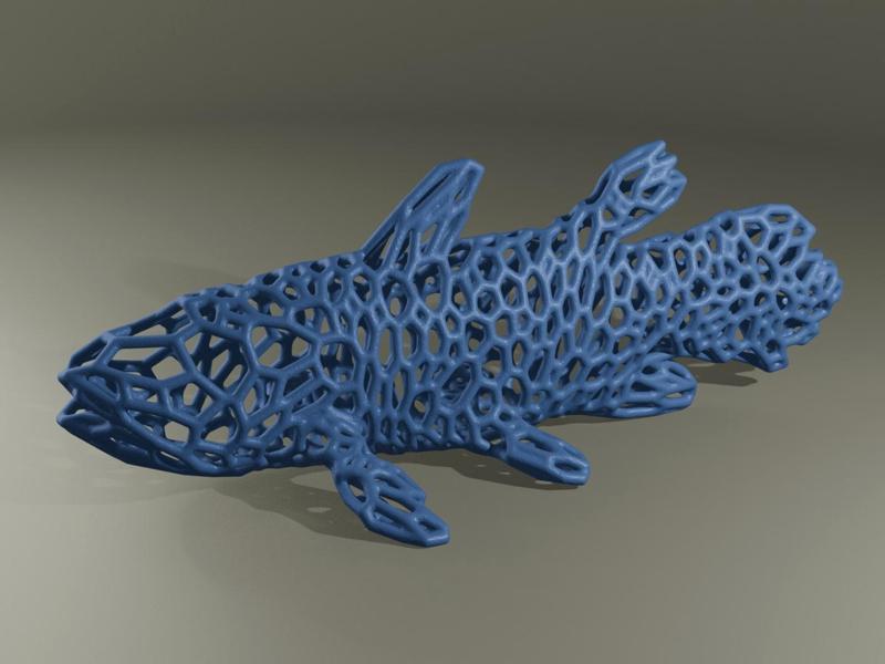 Coelacanth Voronoi