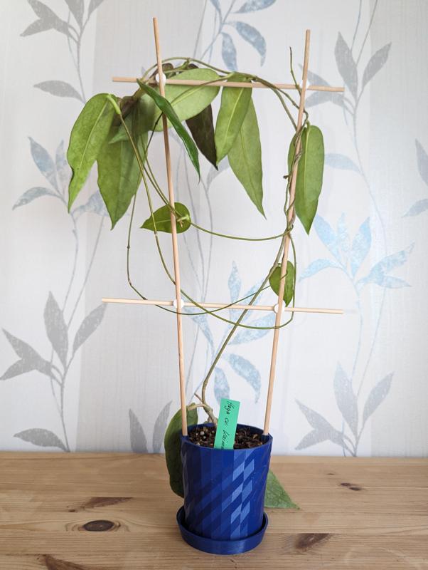 Parametric Low Poly Flower Pot