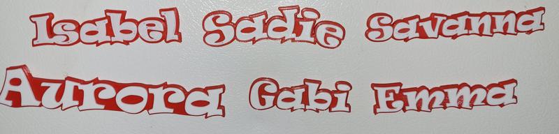 Personalized Magnets