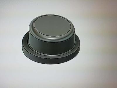 Radiator Insert