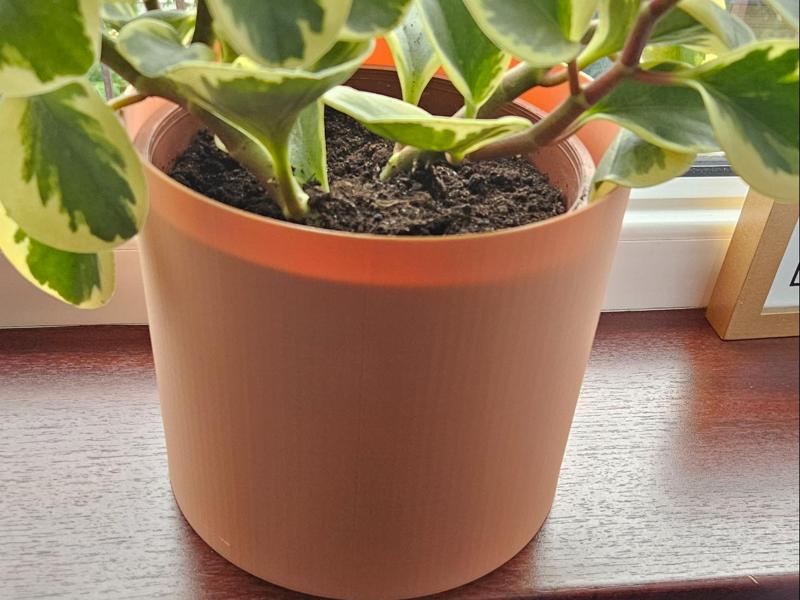 bin / plant bin cover
