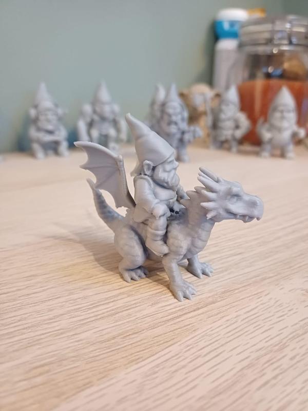Gnome on dragon