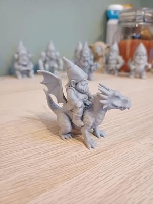 Gnome on dragon