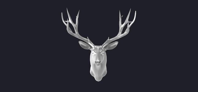 Moose Head 3D MODEL