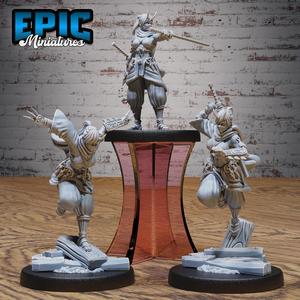 Dark Kunoichi Set ‧ DnD Miniature ‧ Tabletop Miniatures ‧ Gaming Monster ‧ 3D Model ‧ RPG ‧ DnDminis ‧ STL FILE