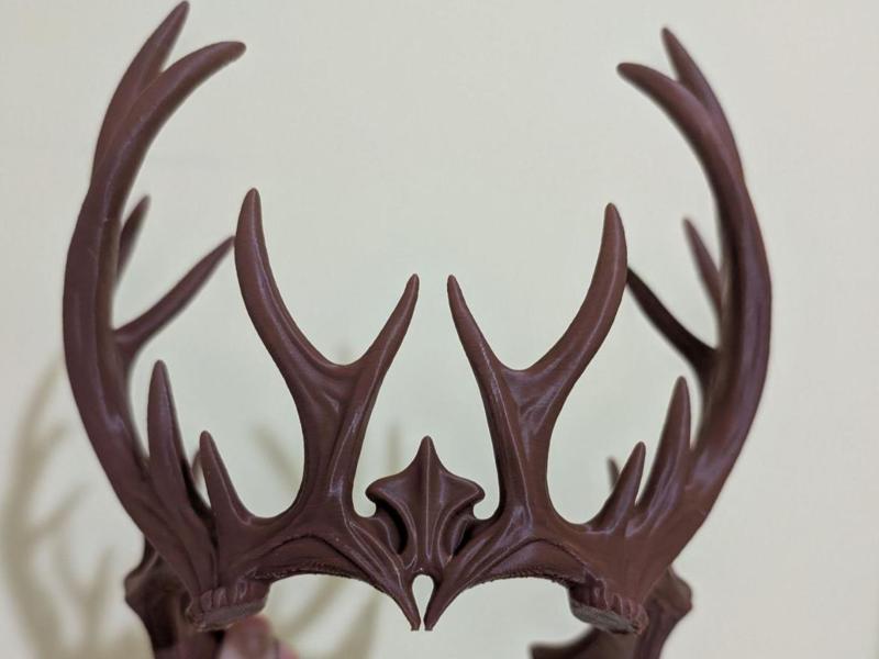 REGNUM SILVAE - The Wild Crown