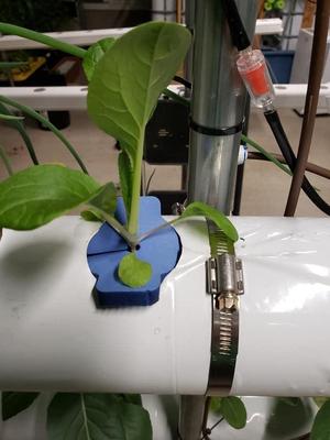 Hydroponic Puck