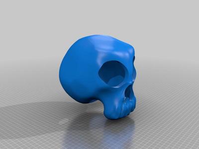 Skull Reptile Hide