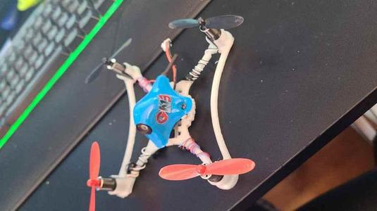 Micro drone whoop pick