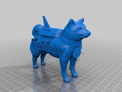 doge to the moon ! 