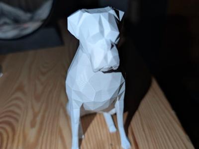 Low-poly boxer dog