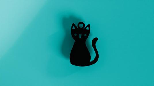 cute cat keychain